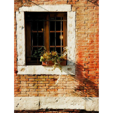 Venice Snapshots V Gold Ornate Wood Framed Art Print with Double Matting by Head, Danny