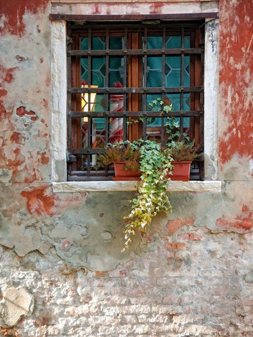 Venice Snapshots VI White Modern Wood Framed Art Print with Double Matting by Head, Danny