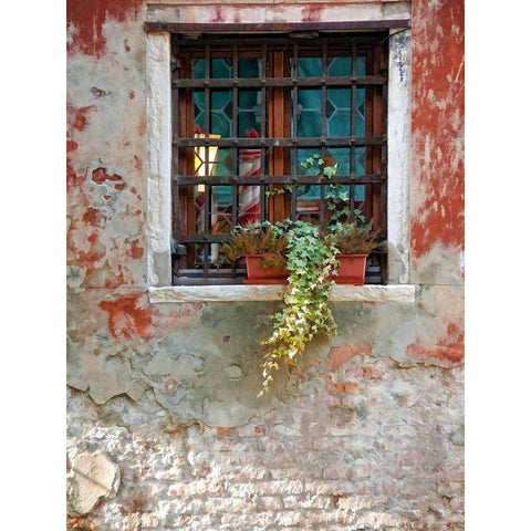 Venice Snapshots VI Black Modern Wood Framed Art Print by Head, Danny