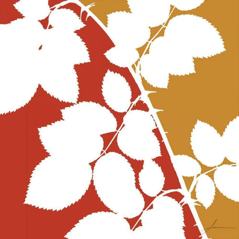 Split Stem IV White Modern Wood Framed Art Print by Burghardt, James