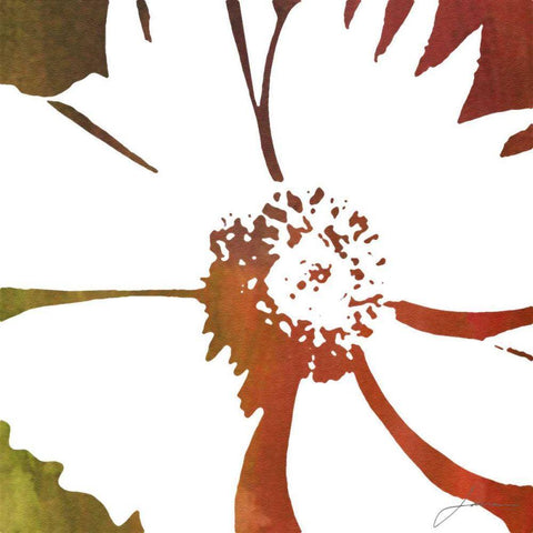 Peace Flowers III White Modern Wood Framed Art Print with Double Matting by Burghardt, James