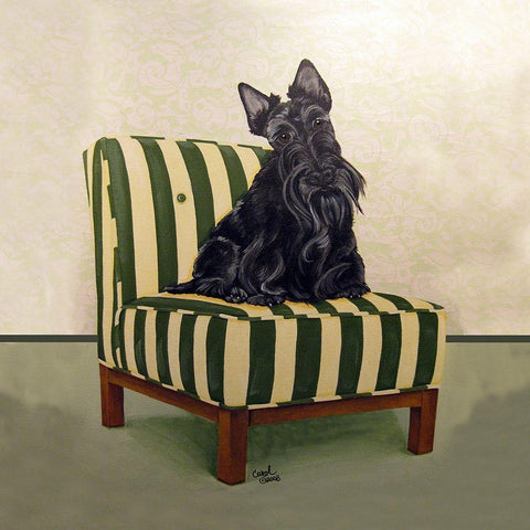 Scottie on Stripes White Modern Wood Framed Art Print by Dillon, Carol