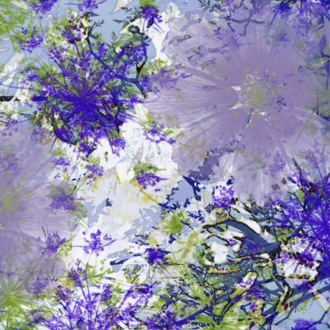 Abstract Pop IV Black Ornate Wood Framed Art Print with Double Matting by Mountain, Ricki