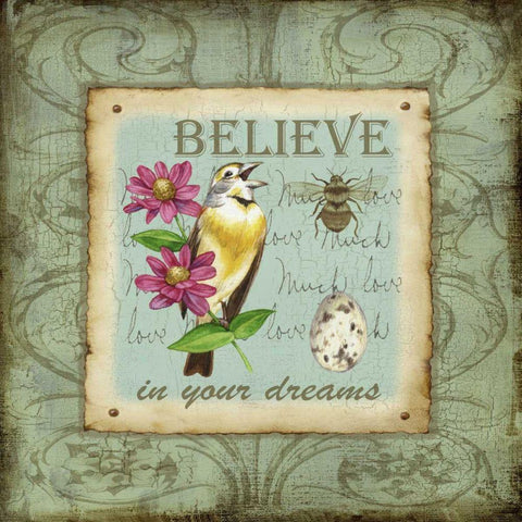 Wings of Wonder IV Black Ornate Wood Framed Art Print with Double Matting by Maday, Jane