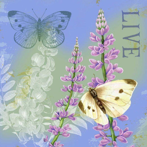 Butterflies Inspire I Black Modern Wood Framed Art Print with Double Matting by Maday, Jane