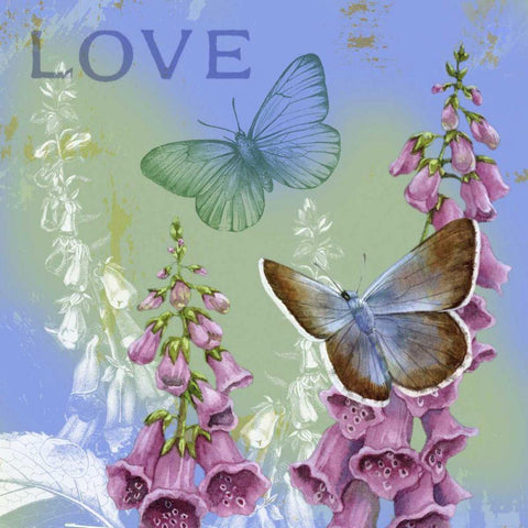 Butterflies Inspire IV Black Modern Wood Framed Art Print by Maday, Jane