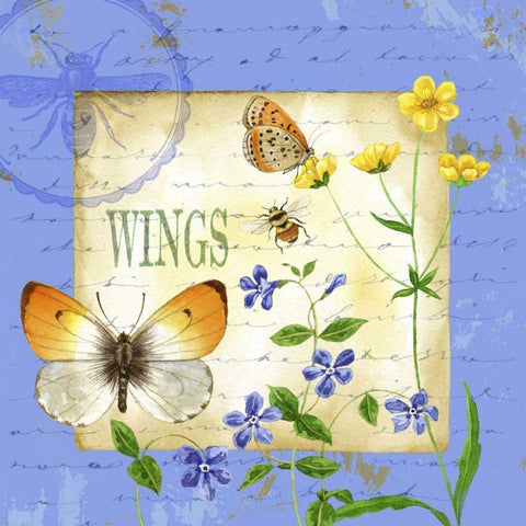 Butterfly Meadow I Black Modern Wood Framed Art Print with Double Matting by Maday, Jane