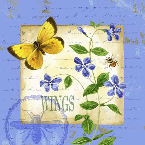 Butterfly Meadow III Black Modern Wood Framed Art Print by Maday, Jane