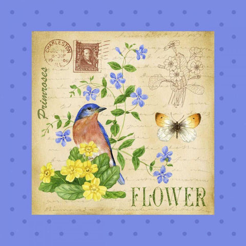 Blooming Garden I Black Modern Wood Framed Art Print by Maday, Jane