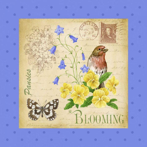 Blooming Garden IV Black Modern Wood Framed Art Print with Double Matting by Maday, Jane