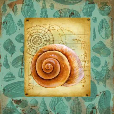 Seaside Gifts I White Modern Wood Framed Art Print by Maday, Jane