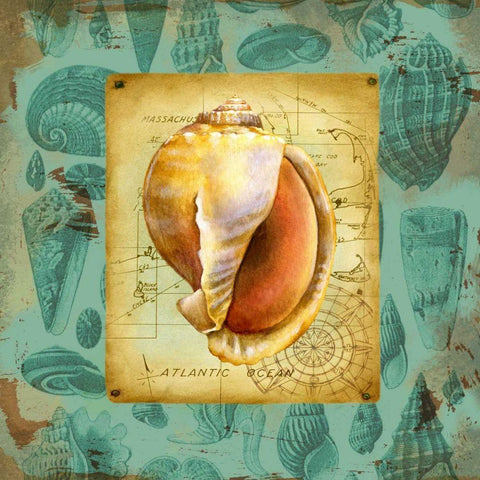 Seaside Gifts II White Modern Wood Framed Art Print by Maday, Jane