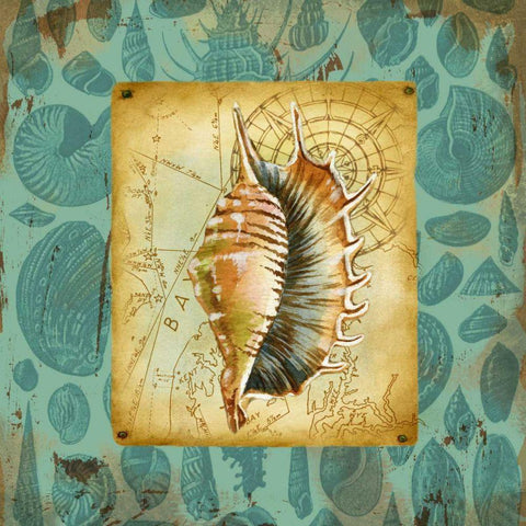 Seaside Gifts IV Black Modern Wood Framed Art Print by Maday, Jane