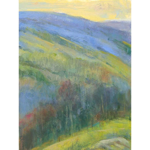 Mountain View IV Gold Ornate Wood Framed Art Print with Double Matting by Thomas, H.