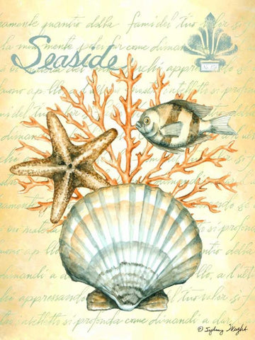 Under The Sea I Black Ornate Wood Framed Art Print with Double Matting by Wright, Sydney