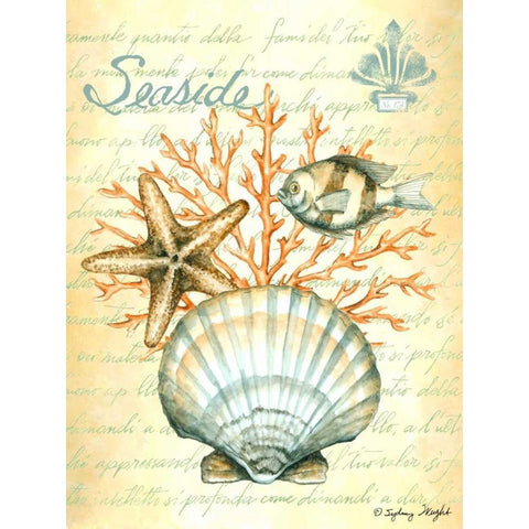Under The Sea I White Modern Wood Framed Art Print by Wright, Sydney