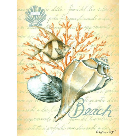 Under The Sea II White Modern Wood Framed Art Print by Wright, Sydney