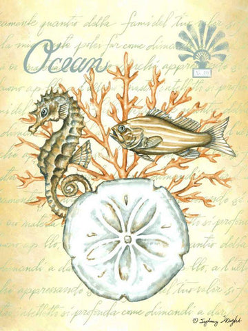 Under The Sea III White Modern Wood Framed Art Print with Double Matting by Wright, Sydney