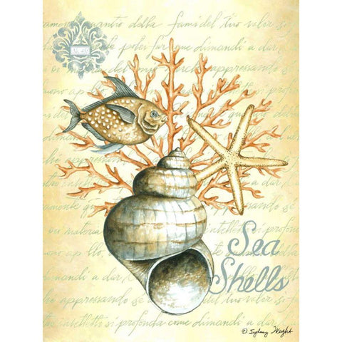 Under The Sea IV Gold Ornate Wood Framed Art Print with Double Matting by Wright, Sydney