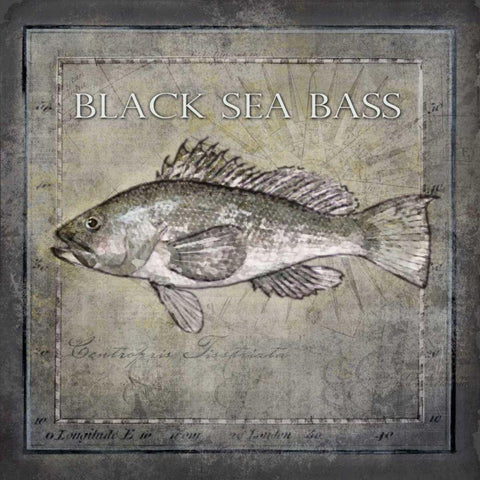 Ocean Fish II Black Ornate Wood Framed Art Print with Double Matting by Beth Anne Creative