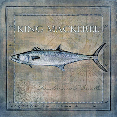 Ocean Fish III Black Modern Wood Framed Art Print by Beth Anne Creative