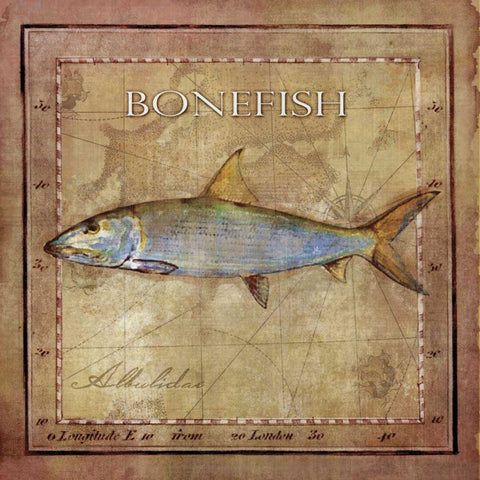 Ocean Fish IV White Modern Wood Framed Art Print with Double Matting by Beth Anne Creative