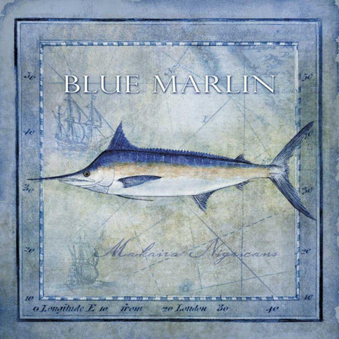 Ocean Fish V White Modern Wood Framed Art Print by Beth Anne Creative