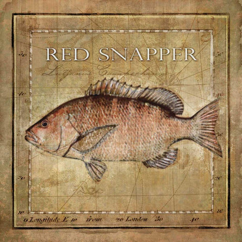 Ocean Fish VII Gold Ornate Wood Framed Art Print with Double Matting by Beth Anne Creative