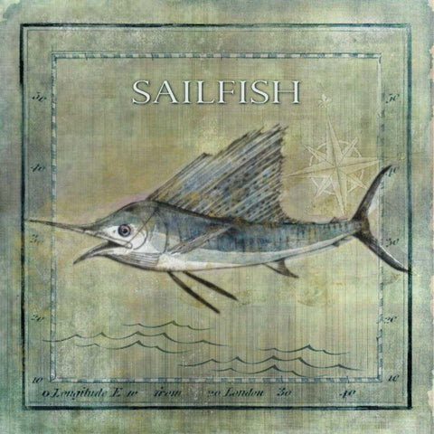 Ocean Fish VIII Black Ornate Wood Framed Art Print with Double Matting by Beth Anne Creative