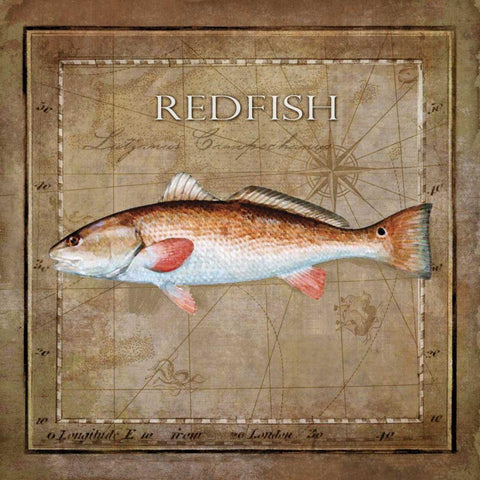 Ocean Fish IX Gold Ornate Wood Framed Art Print with Double Matting by Beth Anne Creative