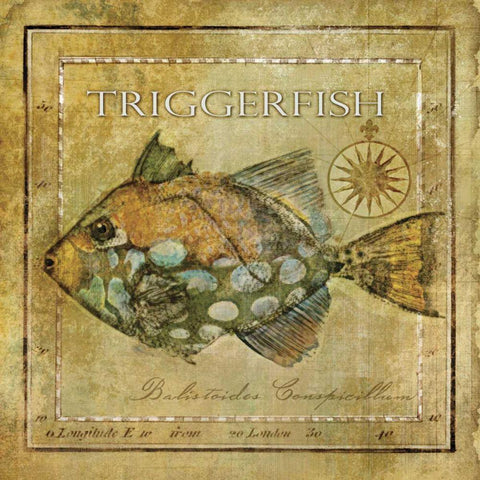 Ocean Fish XI White Modern Wood Framed Art Print by Beth Anne Creative