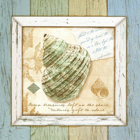 Sea Treasures VI Black Ornate Wood Framed Art Print with Double Matting by Beth Anne Creative