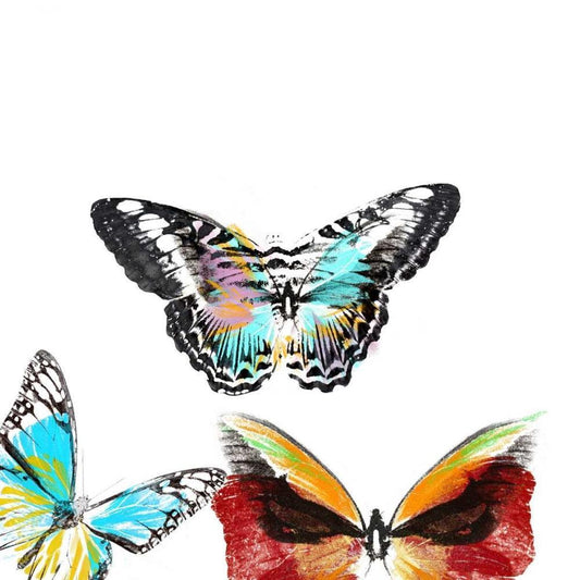 Image Only