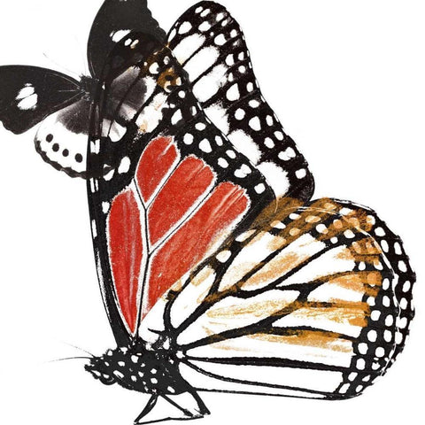 Butterflies Dance IV Black Modern Wood Framed Art Print with Double Matting by Project, A.