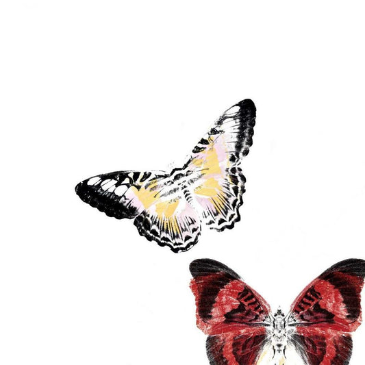 Image Only