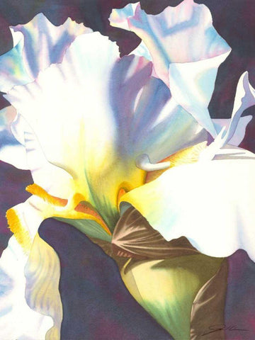 Blue Iris I White Modern Wood Framed Art Print with Double Matting by Higby, Jason