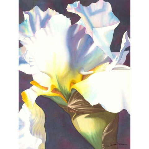 Blue Iris I Gold Ornate Wood Framed Art Print with Double Matting by Higby, Jason