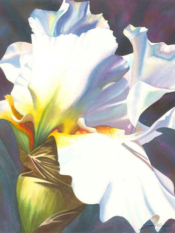 Blue Iris II White Modern Wood Framed Art Print with Double Matting by Higby, Jason