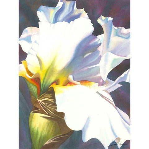 Blue Iris II Black Modern Wood Framed Art Print with Double Matting by Higby, Jason
