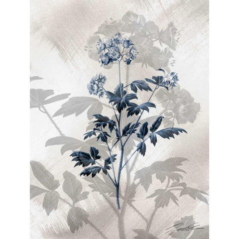 Indigo Bloom II Black Modern Wood Framed Art Print by Butler, John