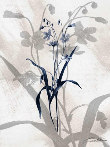 Indigo Bloom III Black Ornate Wood Framed Art Print with Double Matting by Butler, John