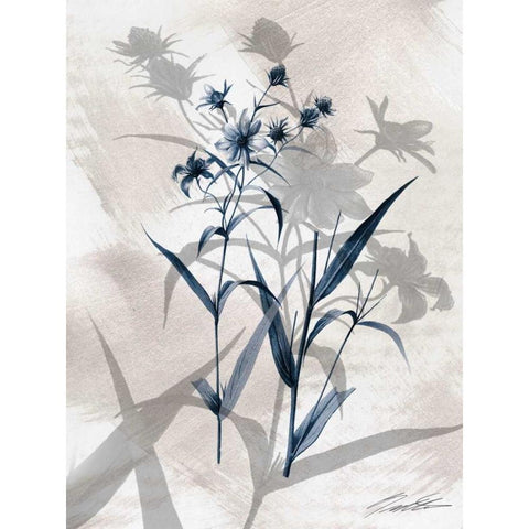 Indigo Bloom IV Black Modern Wood Framed Art Print by Butler, John