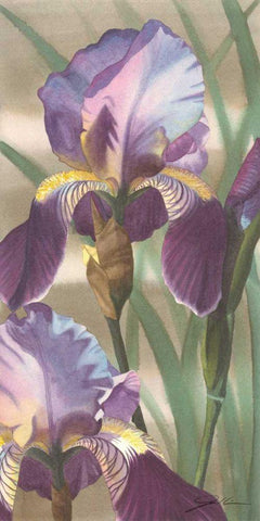 Asian Iris I Black Ornate Wood Framed Art Print with Double Matting by Higby, Jason