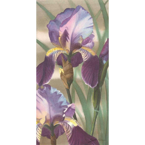 Asian Iris I Gold Ornate Wood Framed Art Print with Double Matting by Higby, Jason