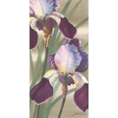 Asian Iris II Black Modern Wood Framed Art Print by Higby, Jason