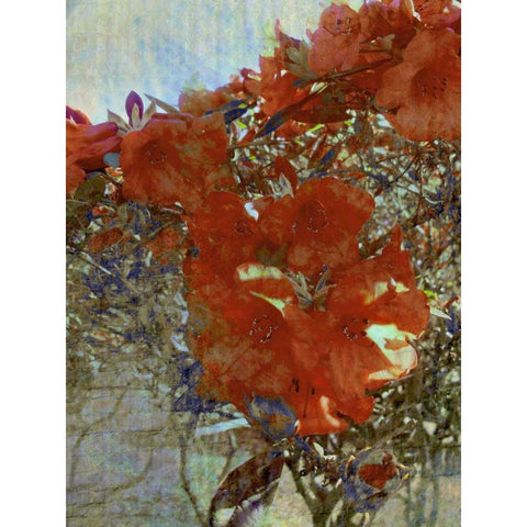 Tangled I Black Modern Wood Framed Art Print by Harrington, Danielle