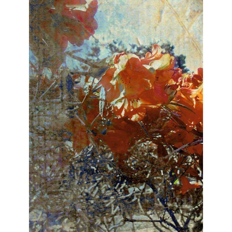 Tangled II White Modern Wood Framed Art Print by Harrington, Danielle
