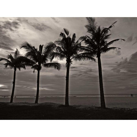 Palms at Night VI White Modern Wood Framed Art Print by Ling, Tang