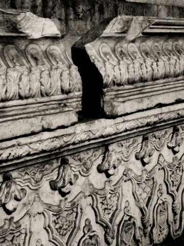 Stone Carving III Black Ornate Wood Framed Art Print with Double Matting by Ling, Tang