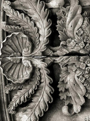 Stone Carving VIII Black Ornate Wood Framed Art Print with Double Matting by Ling, Tang